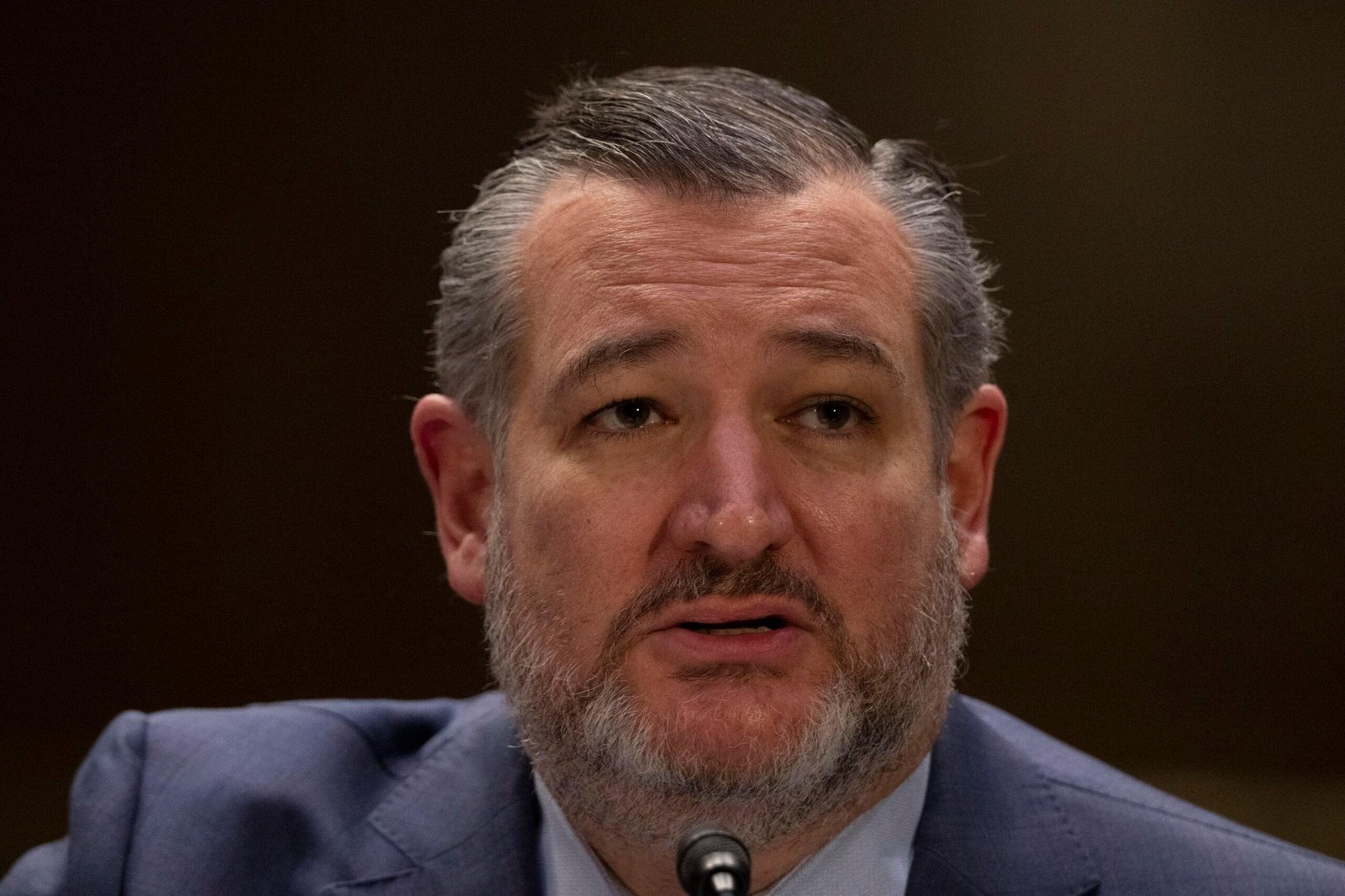 Ted Cruz in a hearing