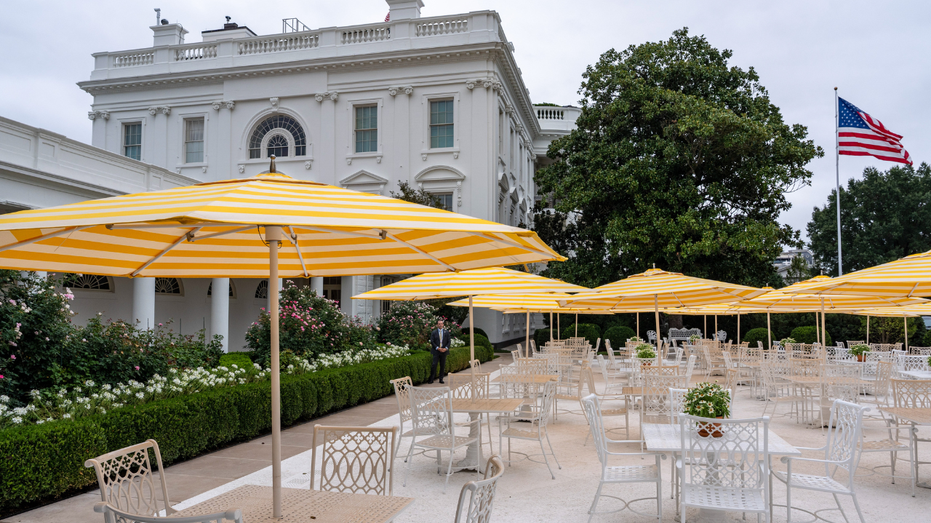 Looking to the Pink White House Garden