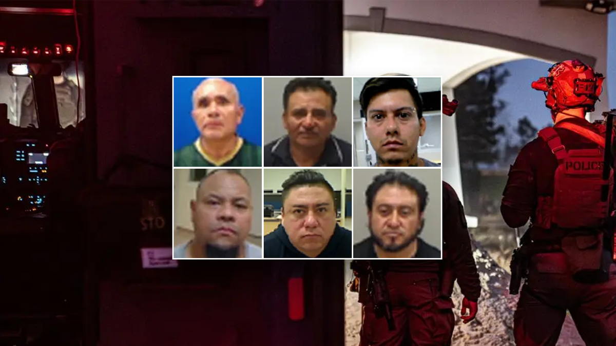 Illegal criminals were arrested by ICE in Chicago