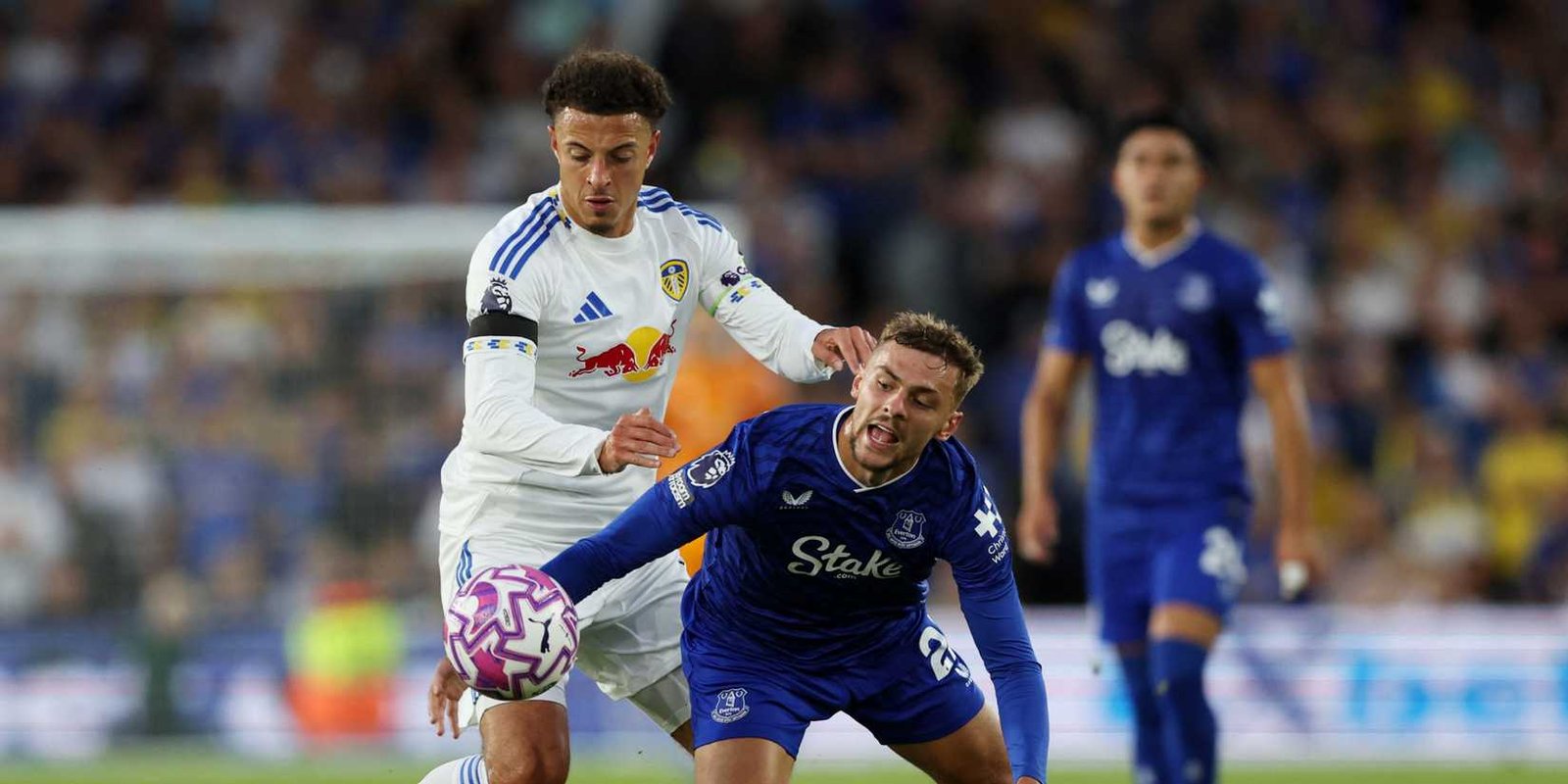 ampadu