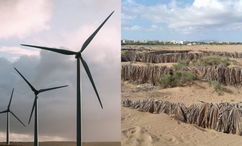 1759096449 China Finds Ingenious Solution for Its Decommissioned Wind Turbine Blades.jpg