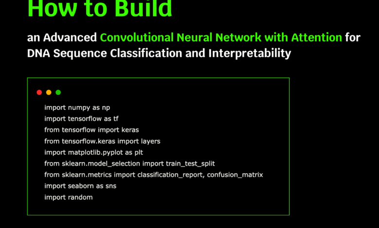 Building an Advanced Convolutional Neural Network with Attention for DNA.png