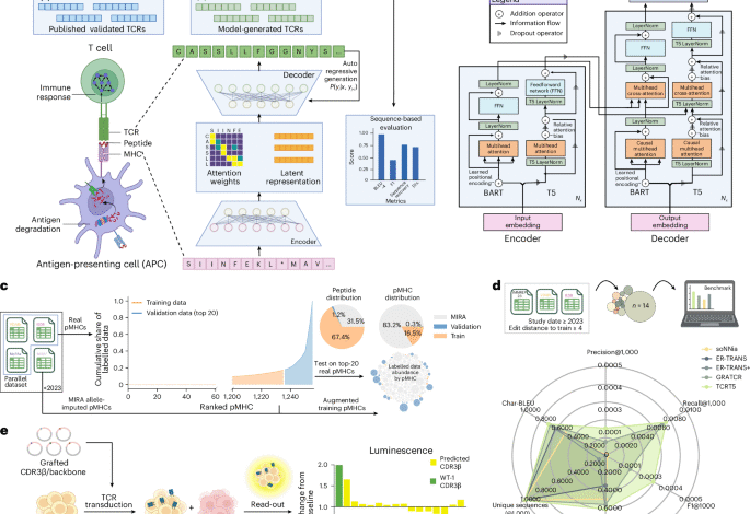 Conditional generation of real antigen specific T cell receptor sequences.png