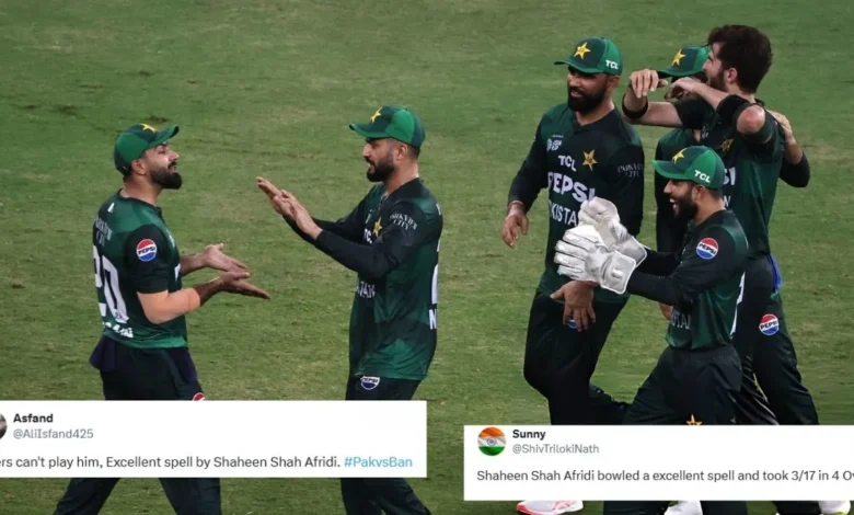Fans erupt as Pakistan edge past Bangladesh to seal spot.webp.webp