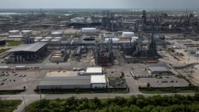 How a Texas refinery turns Amazon destroying cattle into green jet.jpeg