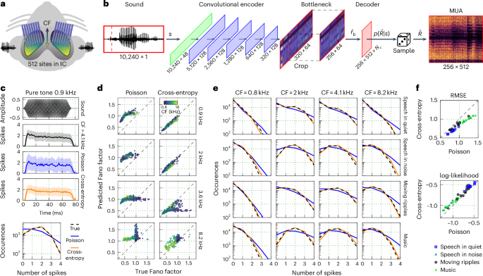 Modelling neural coding in the auditory midbrain with high resolution.png