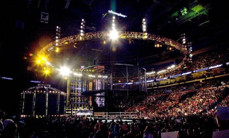 Popular star confirms she has quit WWE.jpg