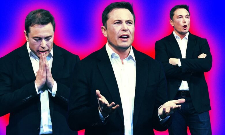 Teslas Market Share Has Fallen So Badly That Its Back.jpg