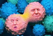 Trump Shutting Down Cancer Research.jpg