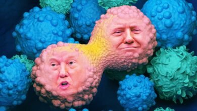 Trump Shutting Down Cancer Research.jpg