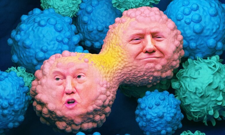 Trump Shutting Down Cancer Research.jpg