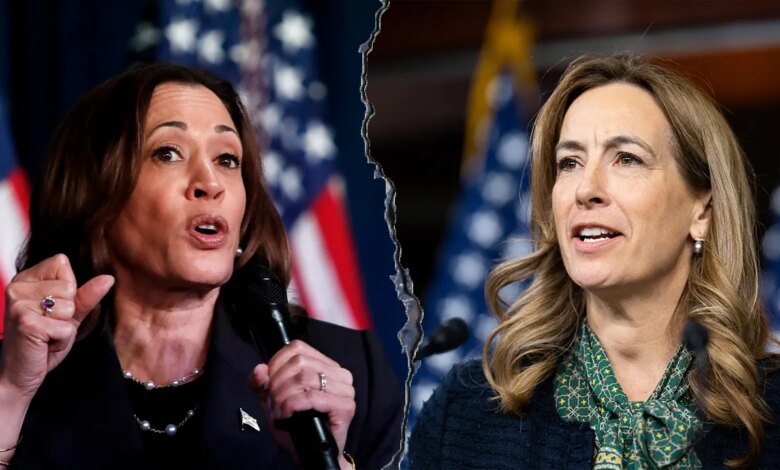 1759321229 Mikie Sherrill faces Kamala Harris comparisons in New Jersey race.jpg