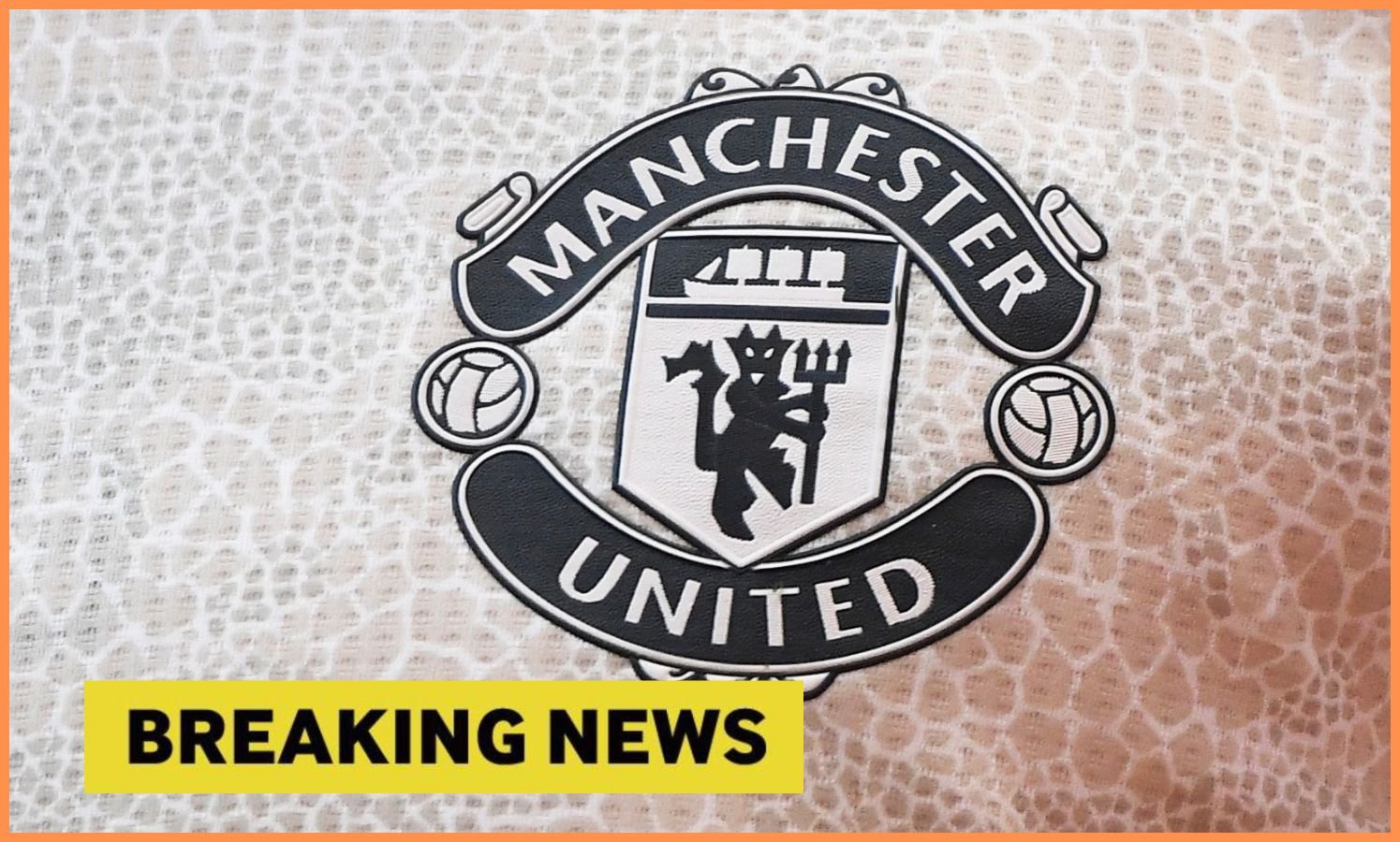 Manchester United logo and flag 