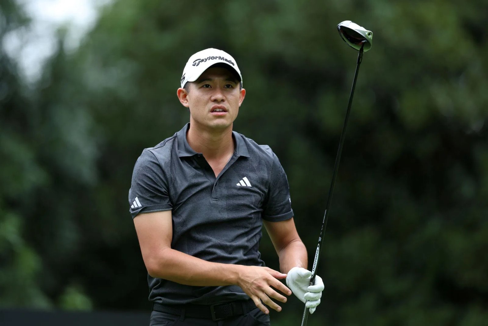 Colin Maurica at Baycurrent Classic 2024 - Source: Getty