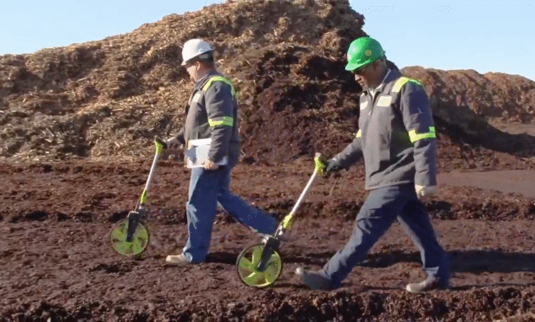 1760199287 When dirt meets data ScottsMiracle Gro saved 150M using AI.png
