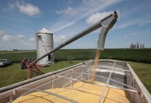 1760485784 Trump accuses China of economically hostile soybean cuts threatens trade.jpg