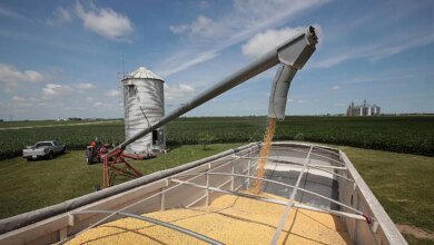 1760485784 Trump accuses China of economically hostile soybean cuts threatens trade.jpg