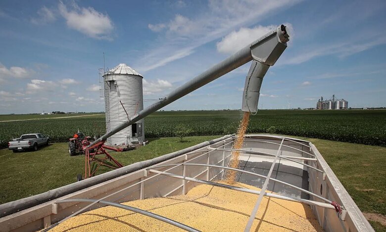 1760485784 Trump accuses China of economically hostile soybean cuts threatens trade.jpg