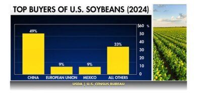 1760499405 China trade freeze squeezes US soybean farmers as costs climb.jpeg