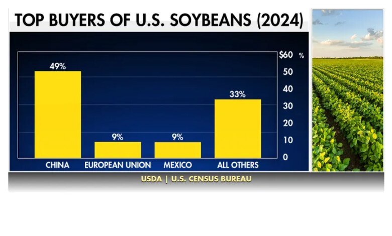 1760499405 China trade freeze squeezes US soybean farmers as costs climb.jpeg