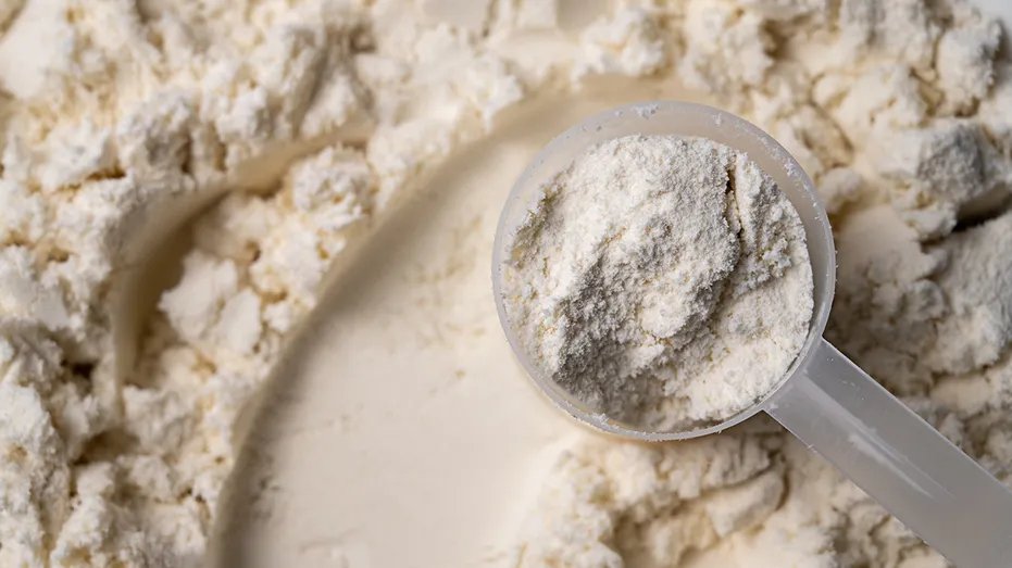 Whey protein powder with scoops. Supplements, bodybuilding, fitness and gym lifestyle.