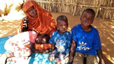 1760593818 UAE Could End RSF War in Sudan.jpg