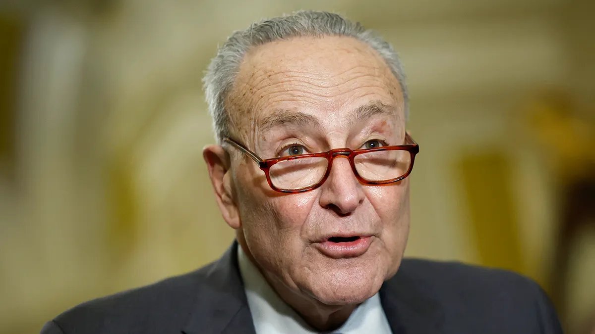 Chuck Schumer speaks to reporters