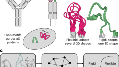 1760760760 Predicting the conformational flexibility of antibody and T cell receptor.png