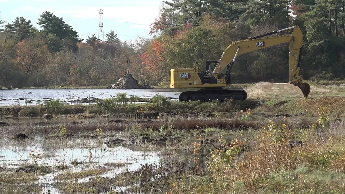 Farmers are converting ancient swamps into wetlands