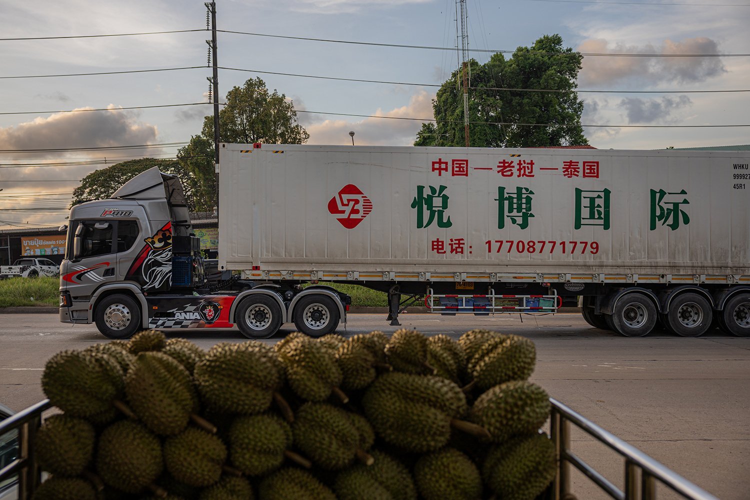 A cargo truck with Chinese characters on it passes on the road. In the foreground is a small bed filled with durian fruit.