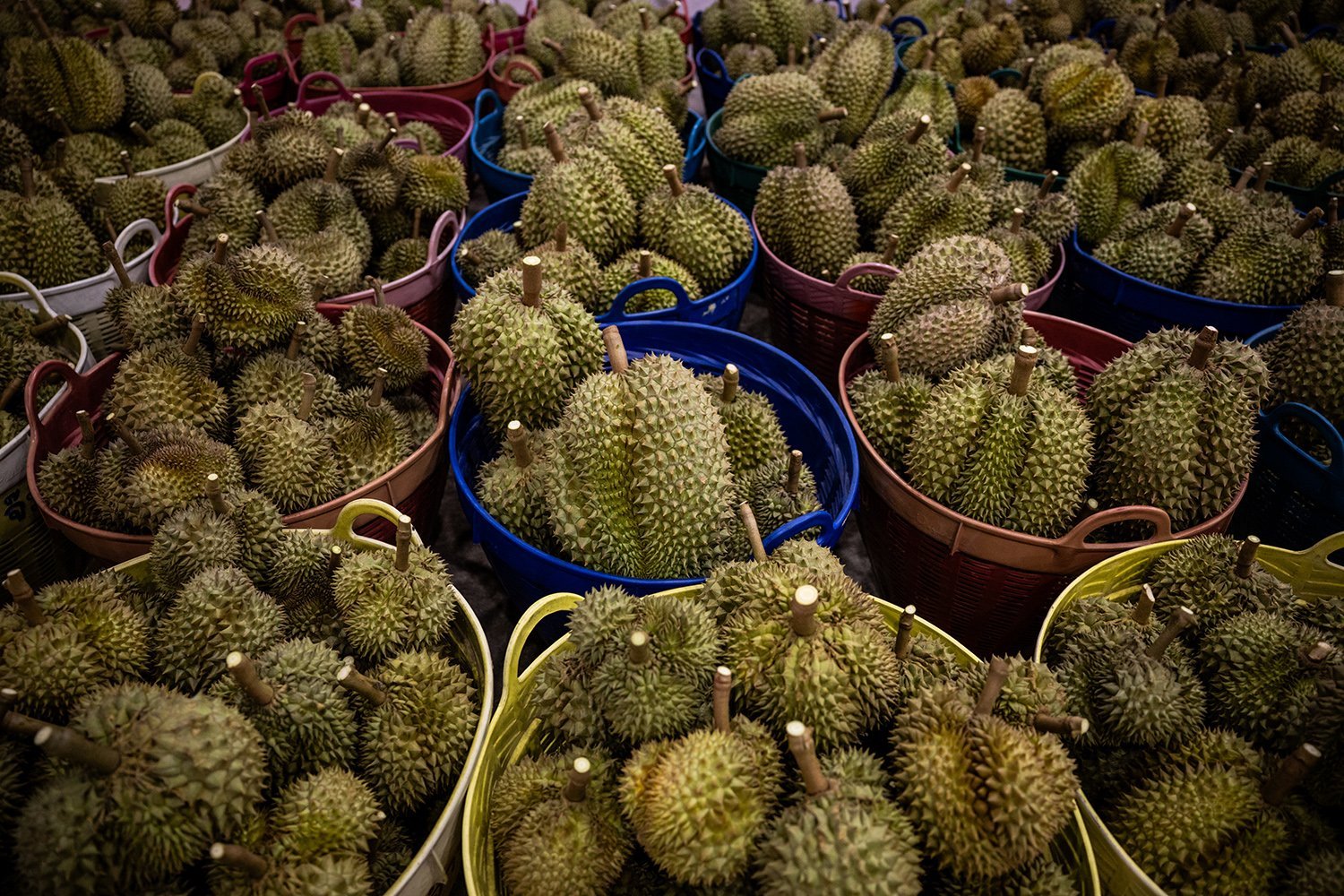 Baskets filled with durian.