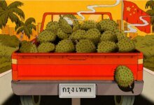 1760783029 Durian Diplomacy Is on the Rise in China and Southeast.jpg
