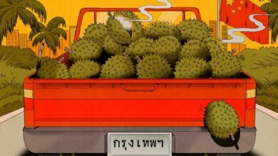 1760783029 Durian Diplomacy Is on the Rise in China and Southeast.jpg