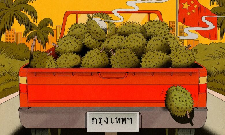 1760783029 Durian Diplomacy Is on the Rise in China and Southeast.jpg