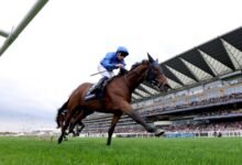 1760793585 British Champions Day Trawlerman scoops Long Distance Cup honours for.jpg