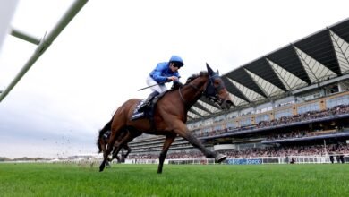 1760793585 British Champions Day Trawlerman scoops Long Distance Cup honours for.jpg