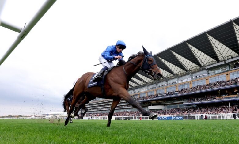 1760793585 British Champions Day Trawlerman scoops Long Distance Cup honours for.jpg