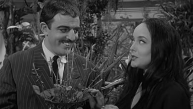 1760893730 The Addams Family Show Got The Comic Banned From The.jpg