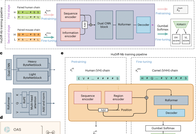 An adaptive autoregressive diffusion approach to design active humanized antibodies.png