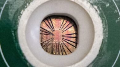 Dutch government takes control of Chinese owned chipmaker Nexperia.jpg