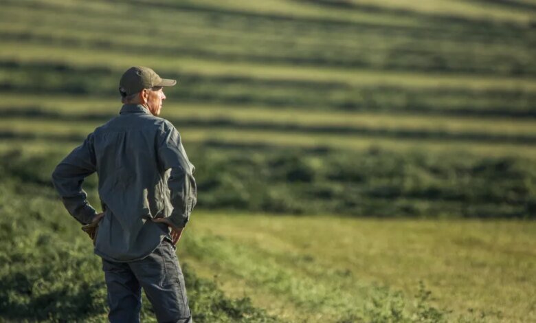 Farm bankruptcies are soaring amid low crop prices while Trump.jpg