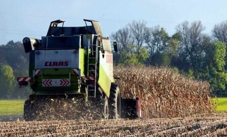 Grains Are Wobbling So Mark Your Calendars for September 30.jpeg