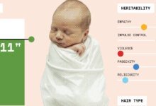 How the quest for the perfect baby is creating an.jpg