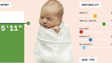 How the quest for the perfect baby is creating an.jpg