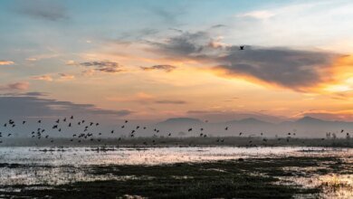 Rainfall Buries a Mega Airport in Mexico.jpeg