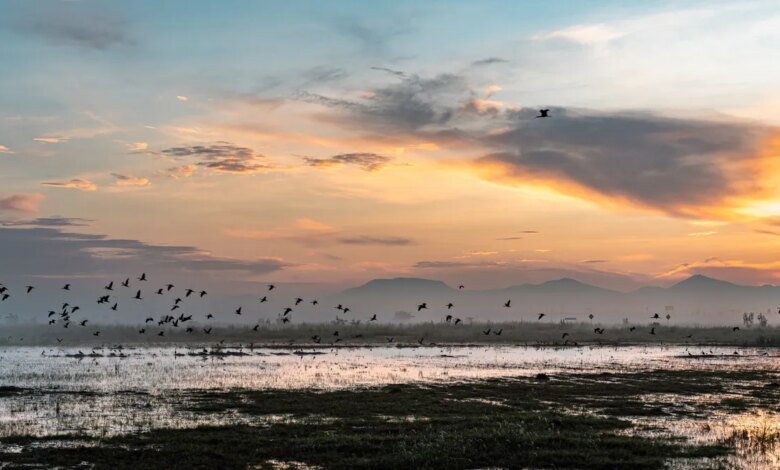 Rainfall Buries a Mega Airport in Mexico.jpeg