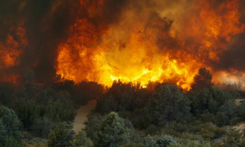 1762281404 Inside the new open source AI that helps anyone track a.jpg