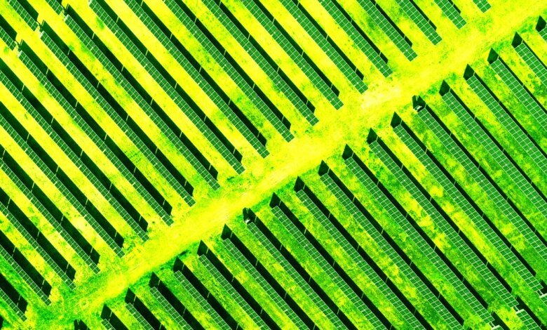 1762529169 Australia Now Has So Much Solar Power That Its Giving.jpg