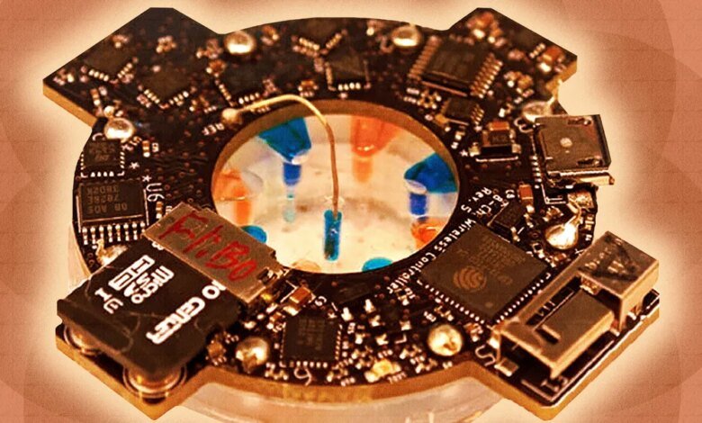 1763096178 Smart Bandage Delivers Electricity and Drugs to Heal.jpg