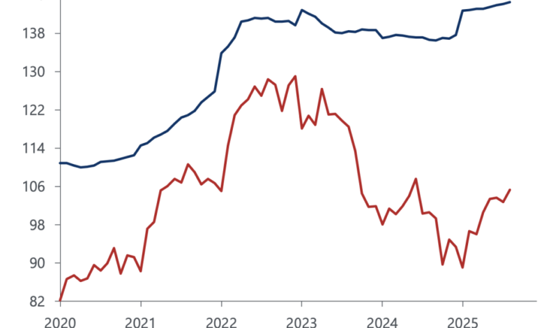 1763402914 Rural Americas farm economy is struggling with its own K.png